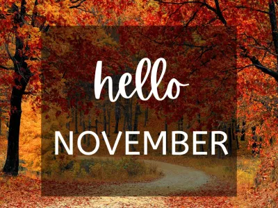 מדריך קניות לחודש נובמבר 2025